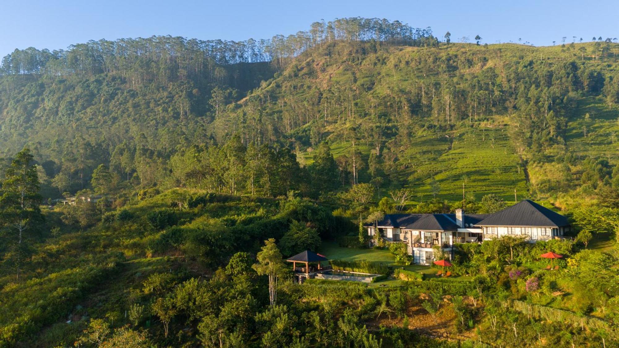 Camellia Hills Hotel Hatton Eksteriør billede